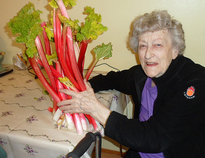 Rabarbari_SAM_1683_254229399