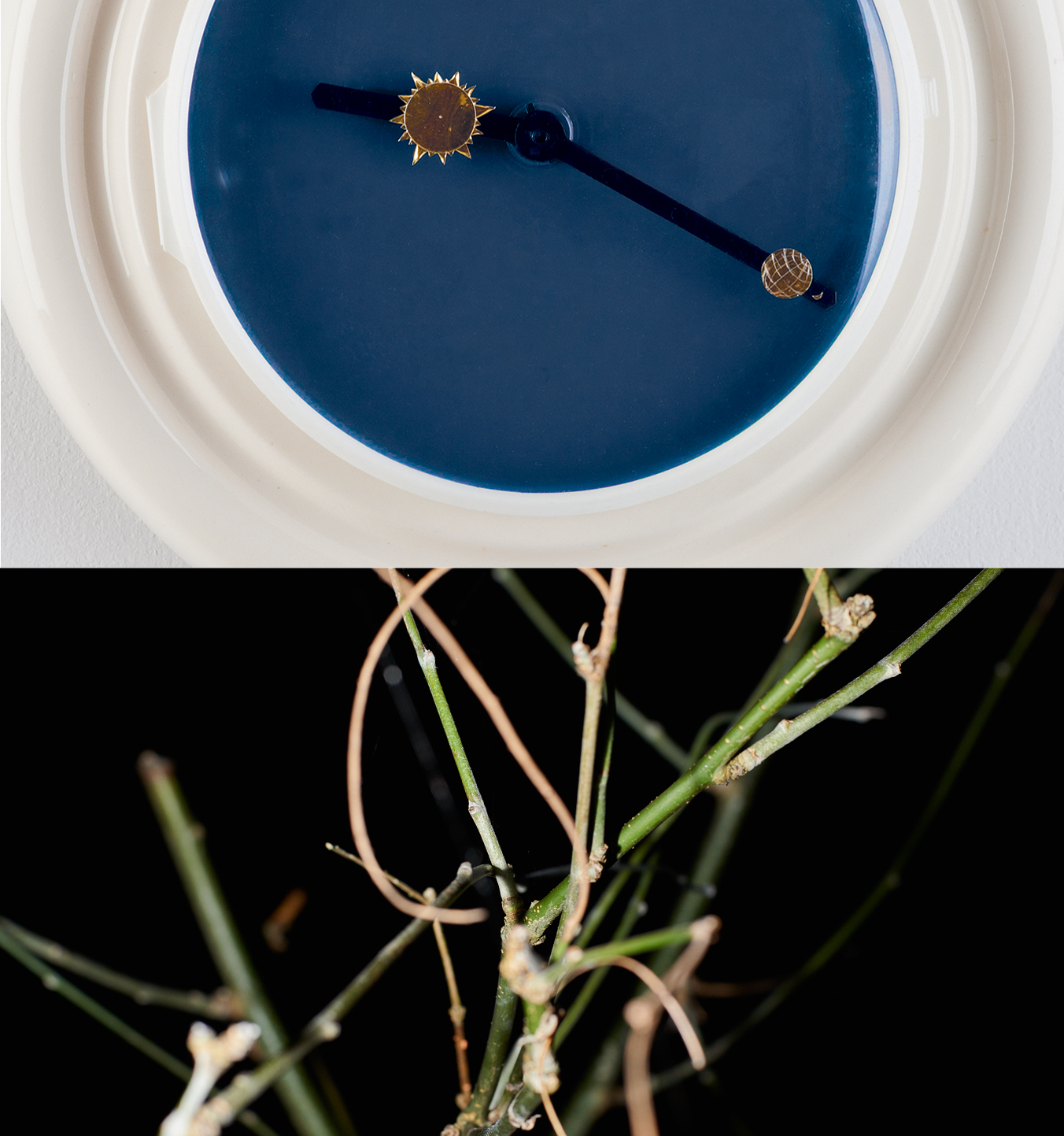 SAMSETTmynd__Ru__ri___og_Pe__tur_297330211