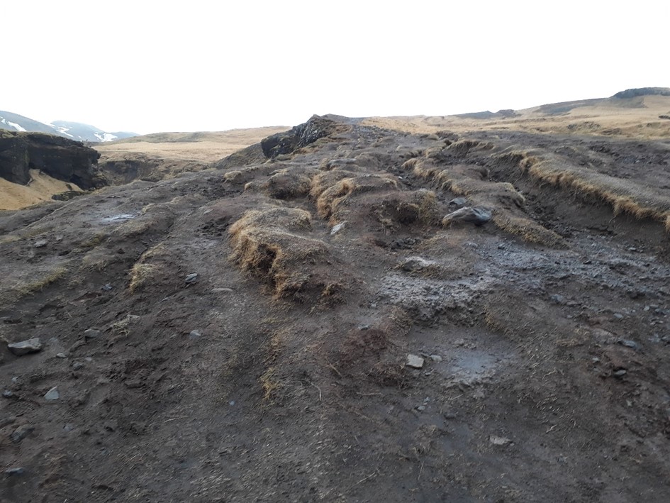 Skogahei__iUST2018_706642439