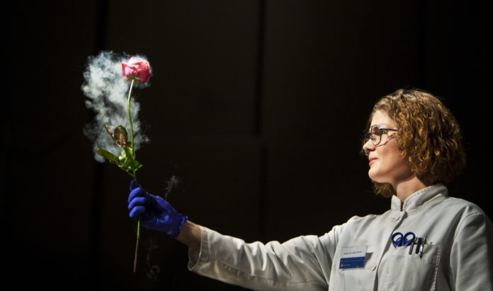 Sprengugengi.lest2_982778633