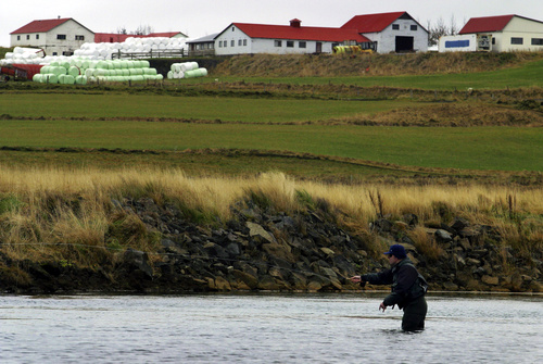 Stora_Laxa2011laxa_487782301