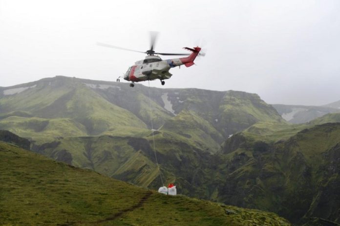 TF_LIF090811skogur_439402580