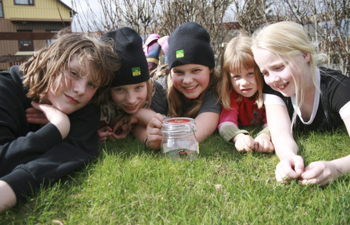 admiralsfidrildi110511awg_132184422