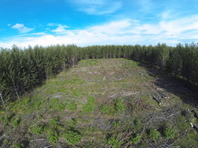 alaskaosp_sandlaekjarmyri2014_112750270