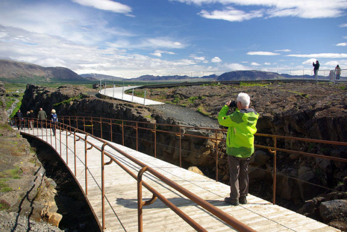 almannagja2012skogur_750743906