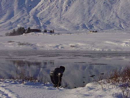 alvidra_landvernd_505901286