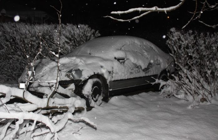 arex_baugstjorn041214gk_950369505