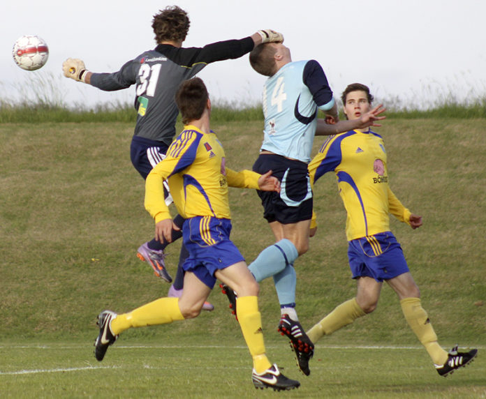 arni_pall201010gk_460461778