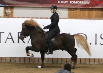 artemisia_oskar_2012hestafr_727441188