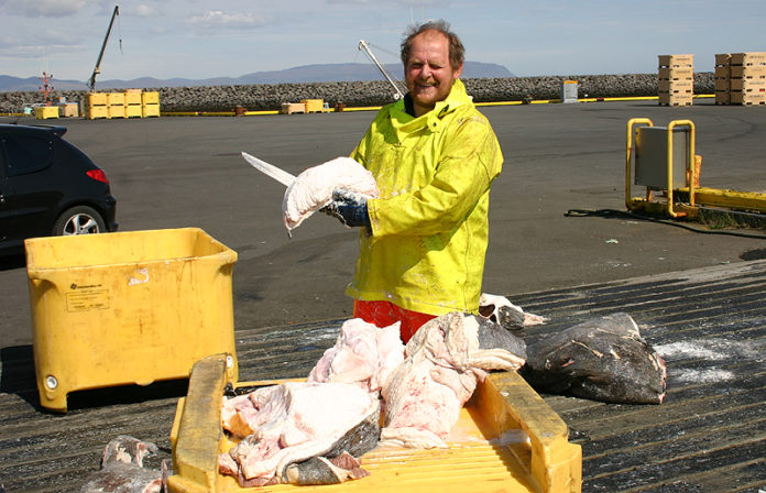 asgeir_gudmundsson190611fia_970875993