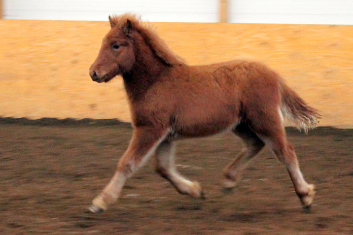 audbjorg_fra_skollagrof_621971095