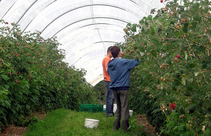 ber_NORA_2011_544670278