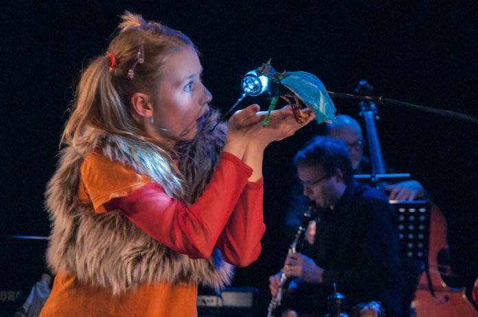 bjort_i_sumarhusi2015_475817624