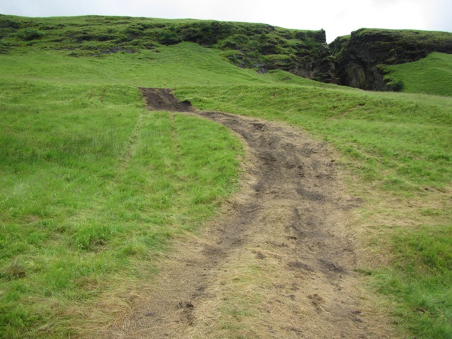 bleiksargljufur_land14_528972937