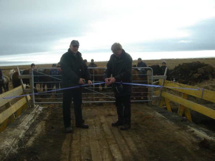 brumillibyggda060412_792414374