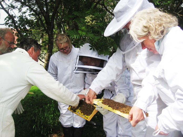 byflugur_husatoftir2011sks_586959219