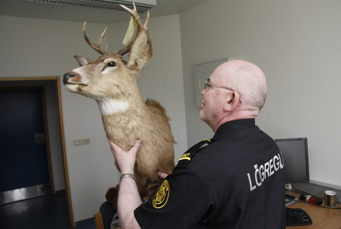 dadyrshaus120610gk_647168030