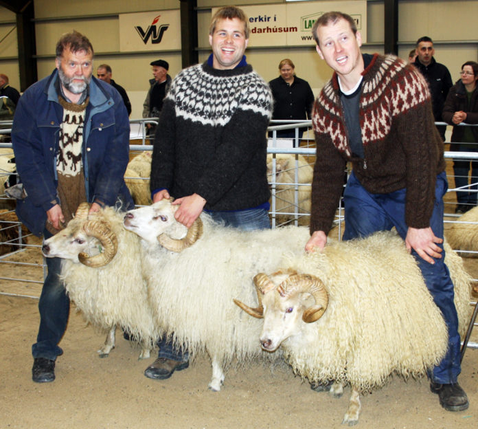 dagur_saudkindar_652925189