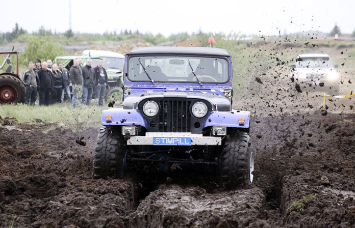 delludagur260611gk_266108342