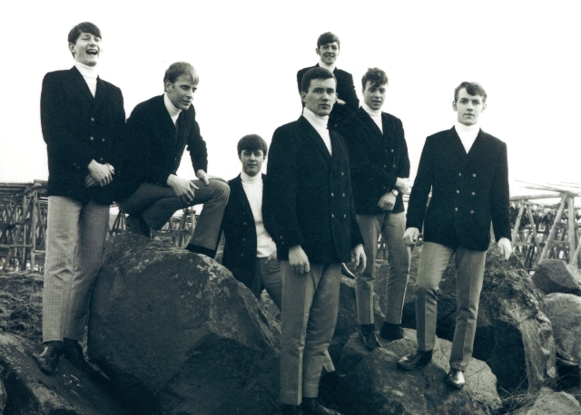 dumboogsteini_964316837