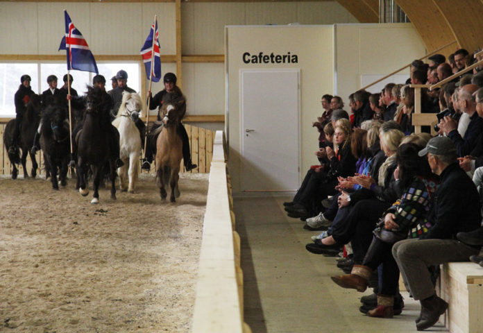 eldhestar_vigsla002_803104262