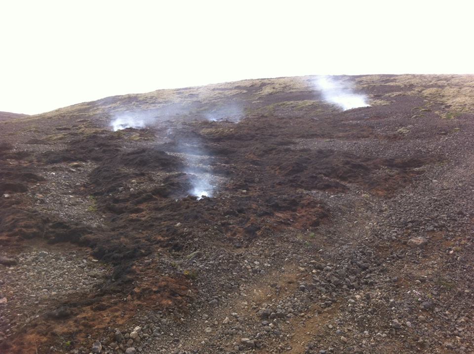 eldur_grodur_hellisheidi070815ba_999681584