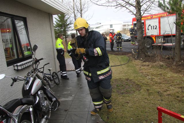 eldur_heidmork1_270312gk_280913272