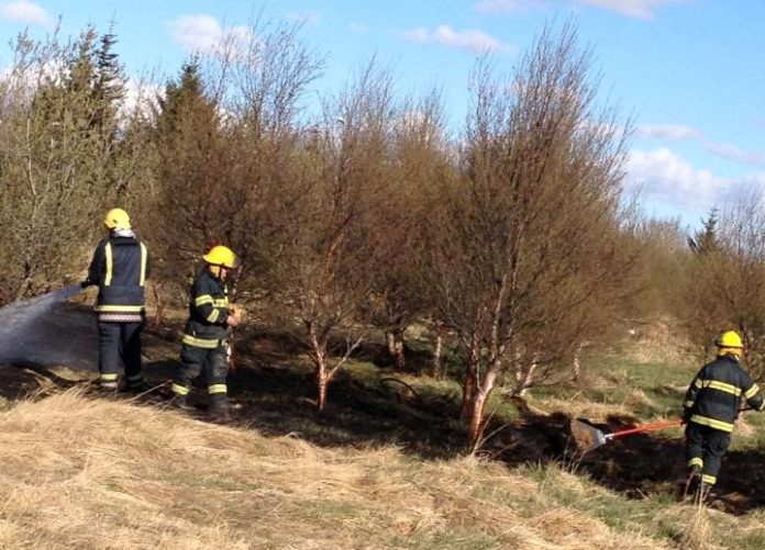 eldur_sina_gagnheidi160513sov_516806984