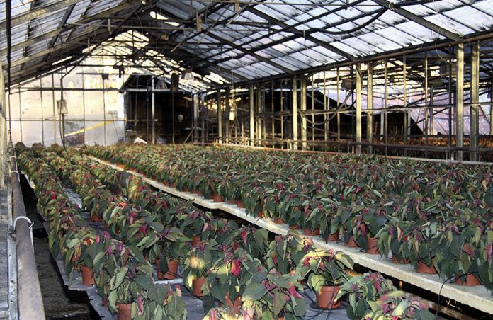 eldurhvg301010gk_273776983