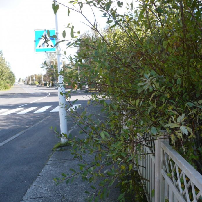 engjavegur_arborg_867112800