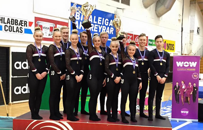 fimleikar_selfossmix2016_368658013