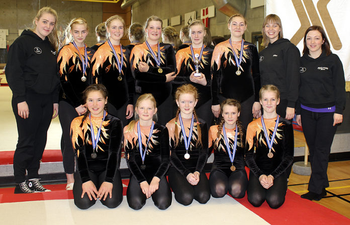 fimleikar_stokkseyri2013_195188913