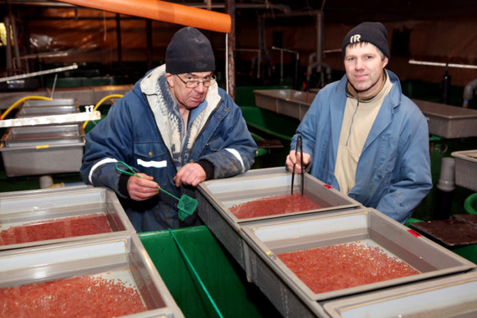 fjardalax_thorvardur_valdimar2010eb_390715031