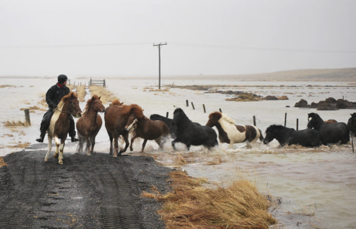 flod_hvita230111bos_217281408