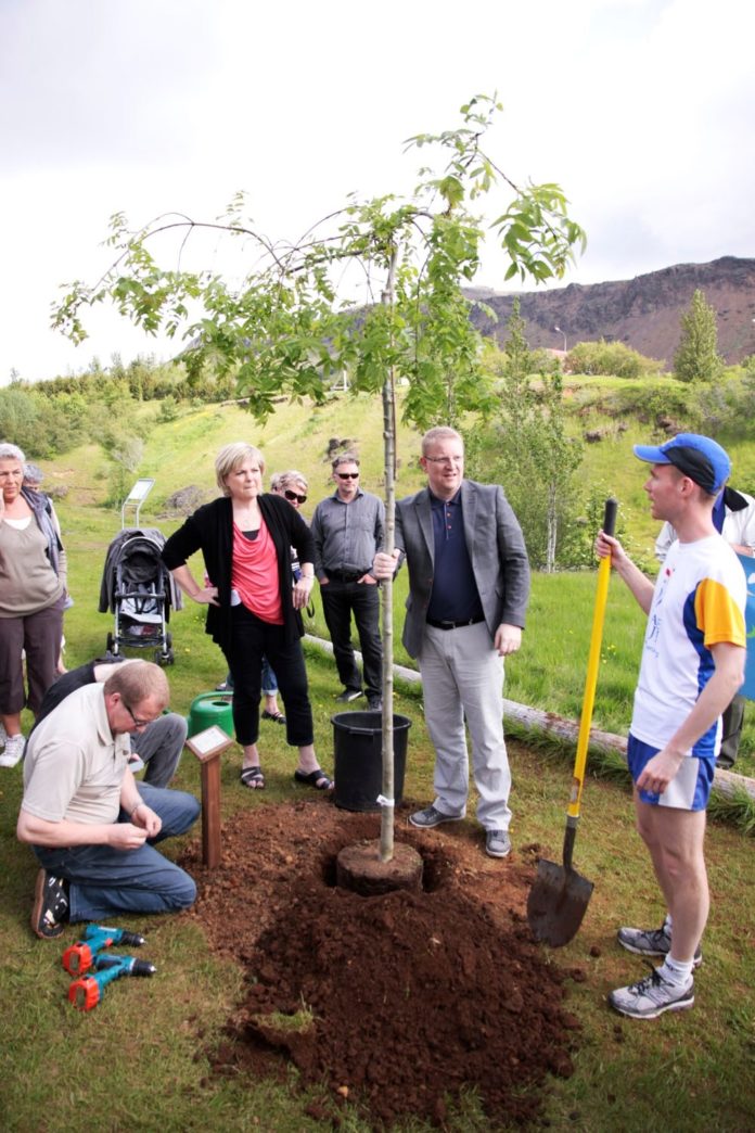 fridartre_hveragerdi_996408507