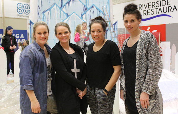 frozen_fimleikar2014_361944408