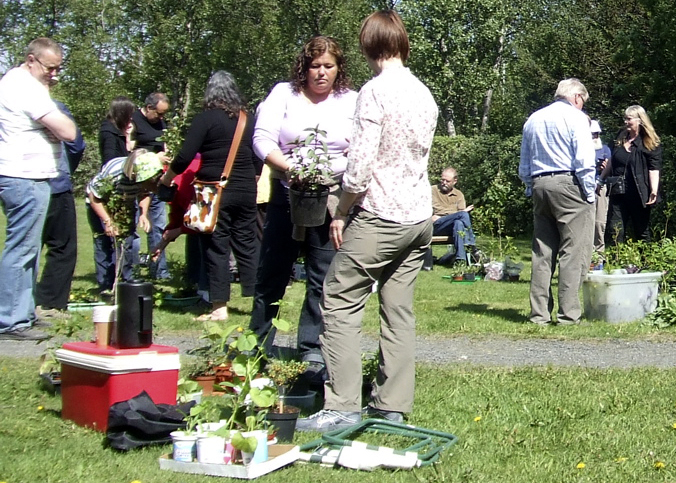gardyrkja_skipti2010hre_476384066