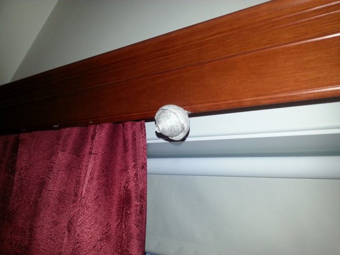 geitungabu_irafoss_142800162