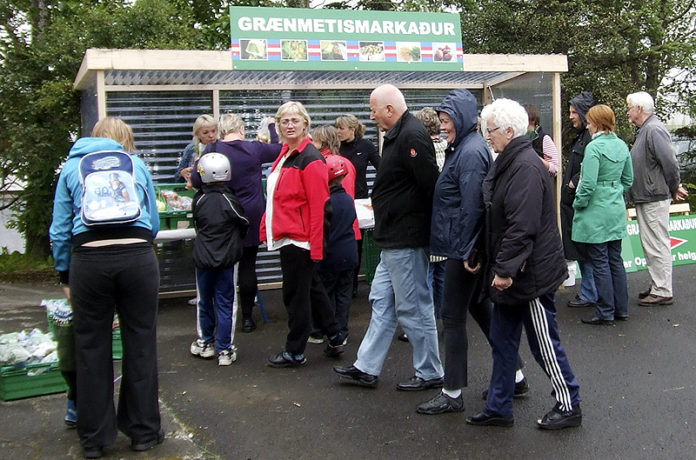 graenmetismarkadur_hjortur230710hre_357798908