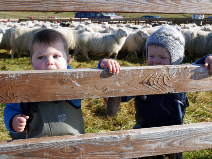 grafarrett2009ibi_789130001