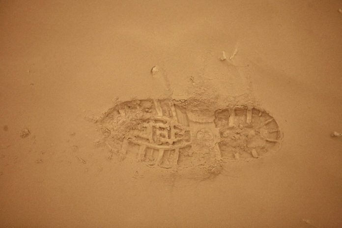 grimsv_jonas_319536194