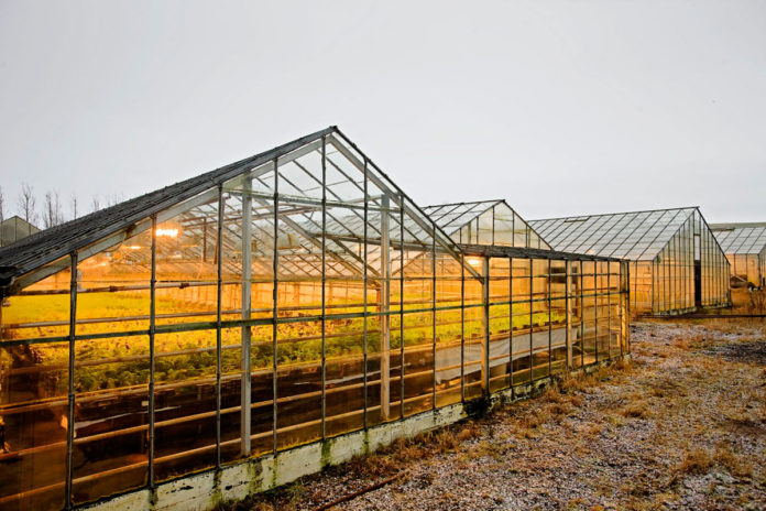 grodurhus_laugarland_islenskt_882991528