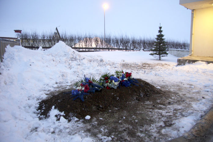 grof_ficsher2008gk_394117538