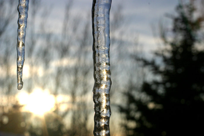 grylukerti_frost_jsh_682164083