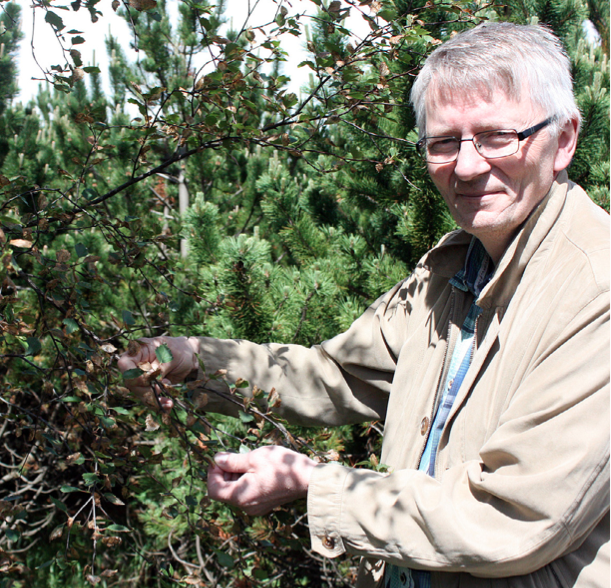 gudmundur_halldorsson2014mhh_338392970