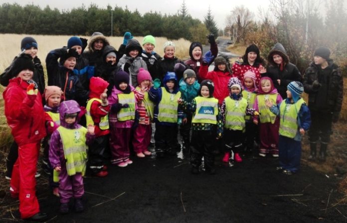 gullin_i_grenndinni2013_613692974