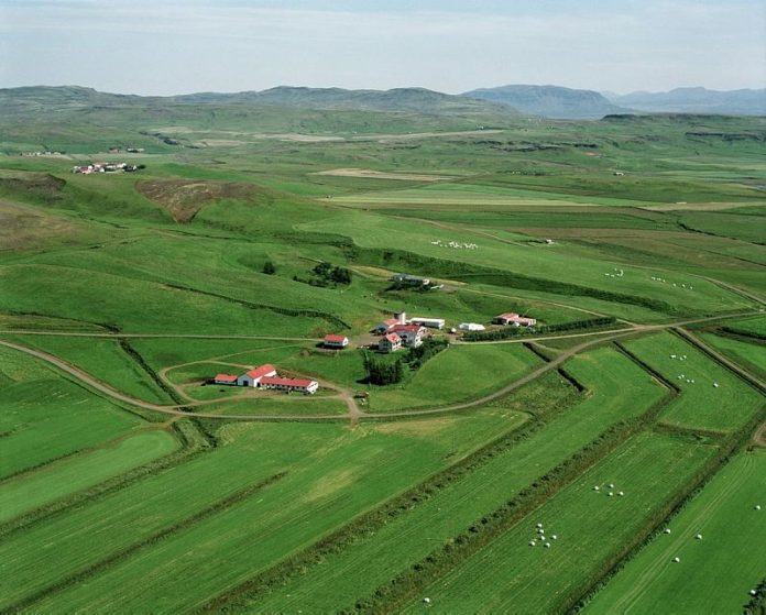 haell_gnup_mats_640054334