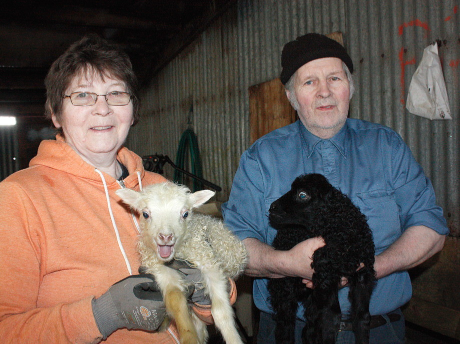 halldor_gudmundsson_hvammi2015mhh_570212205