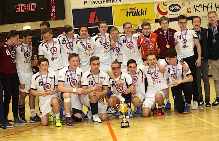 handb_selfoss_3flokkur_deildarm2014gk_432469427