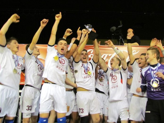 handbolti_3fl_bikarm2014gj_803786494